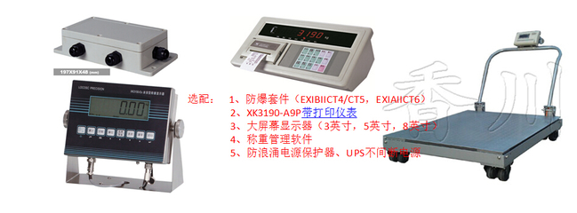 DCS-D 上虞直销3吨移动小型地磅 工业防爆称重新标杆，引领精密称重安全革新
